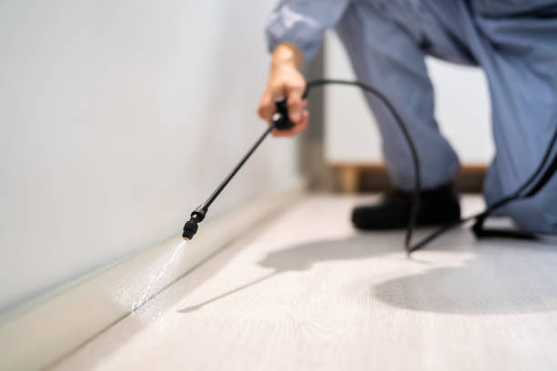 Licensed Pest Control service in Blue Ridge, TX - Show Me Pest Control