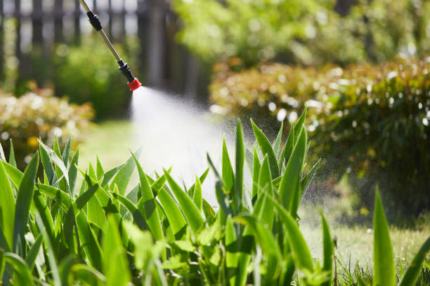 Tamper-Resistant Bait Stations for Rodents in Blue Ridge
