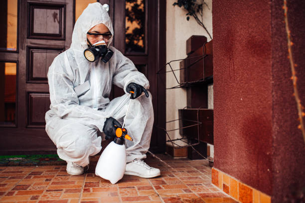 Attic and Crawl Space Rodent Treatment in Blue Ridge