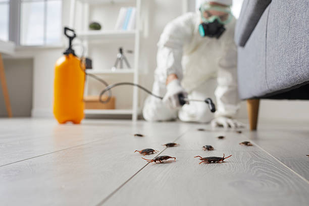 Commercial Rodent Management in Blue Ridge
